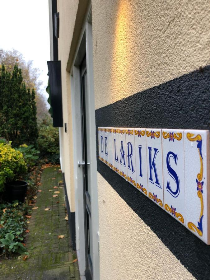 De Lariks * Enschede